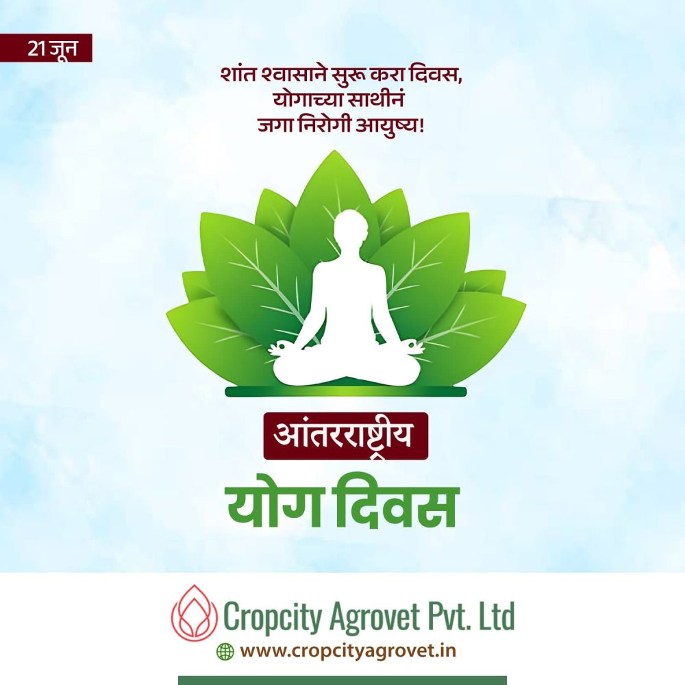 WhatsApp Image 2025-06-19 at 3.40.55 PM